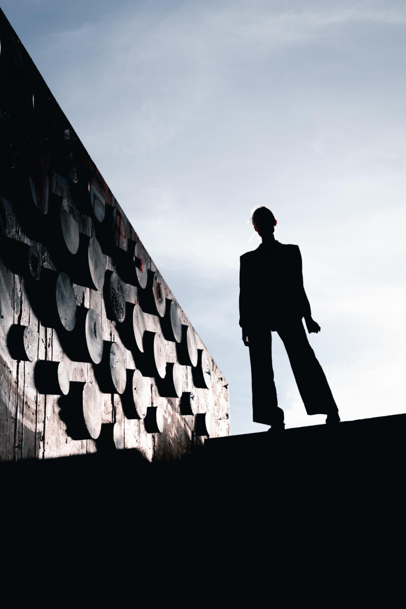 Shapes And Shadows Unraveling The Composition In Silhouette Photography