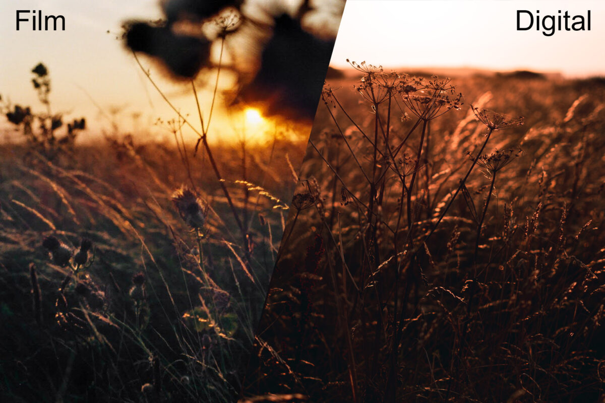 The Film And Digital Photography Choice. Pros And Cons Of Both