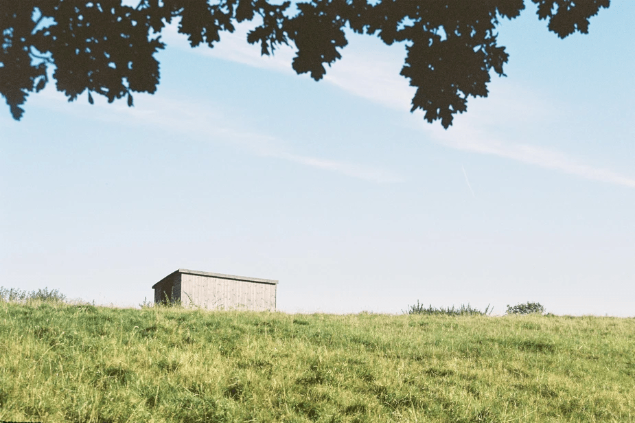 The Film And Digital Photography Choice. Pros And Cons Of Both