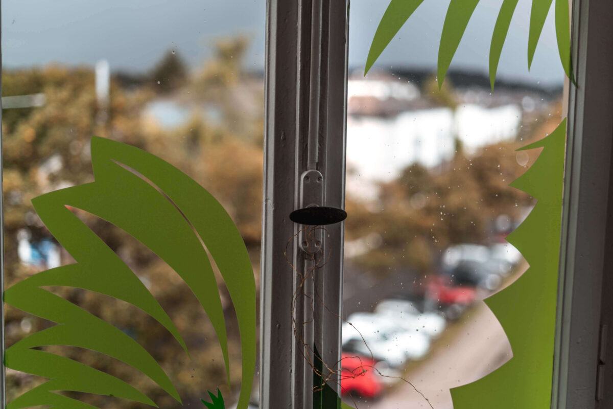 a photograph with the shallow depth of field in aperture priority mode.