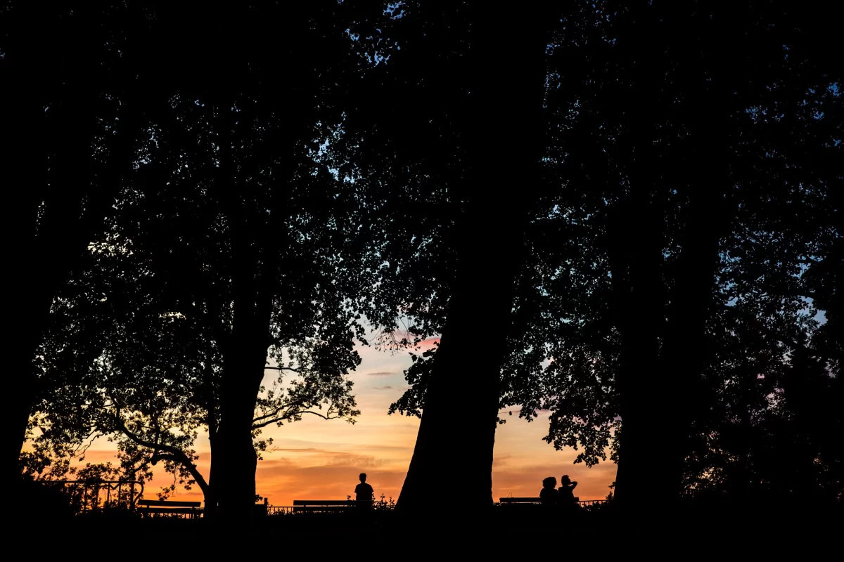 sunset on a hill