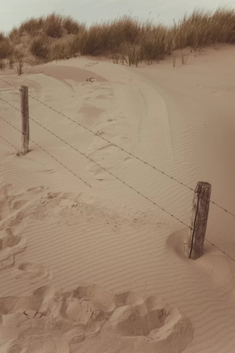 Find your contrast in photography Fedor Vasilev Photographer In Berlin A photograph of a fence with sharp wire on sand
