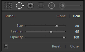 Spot removal tool in lightroom