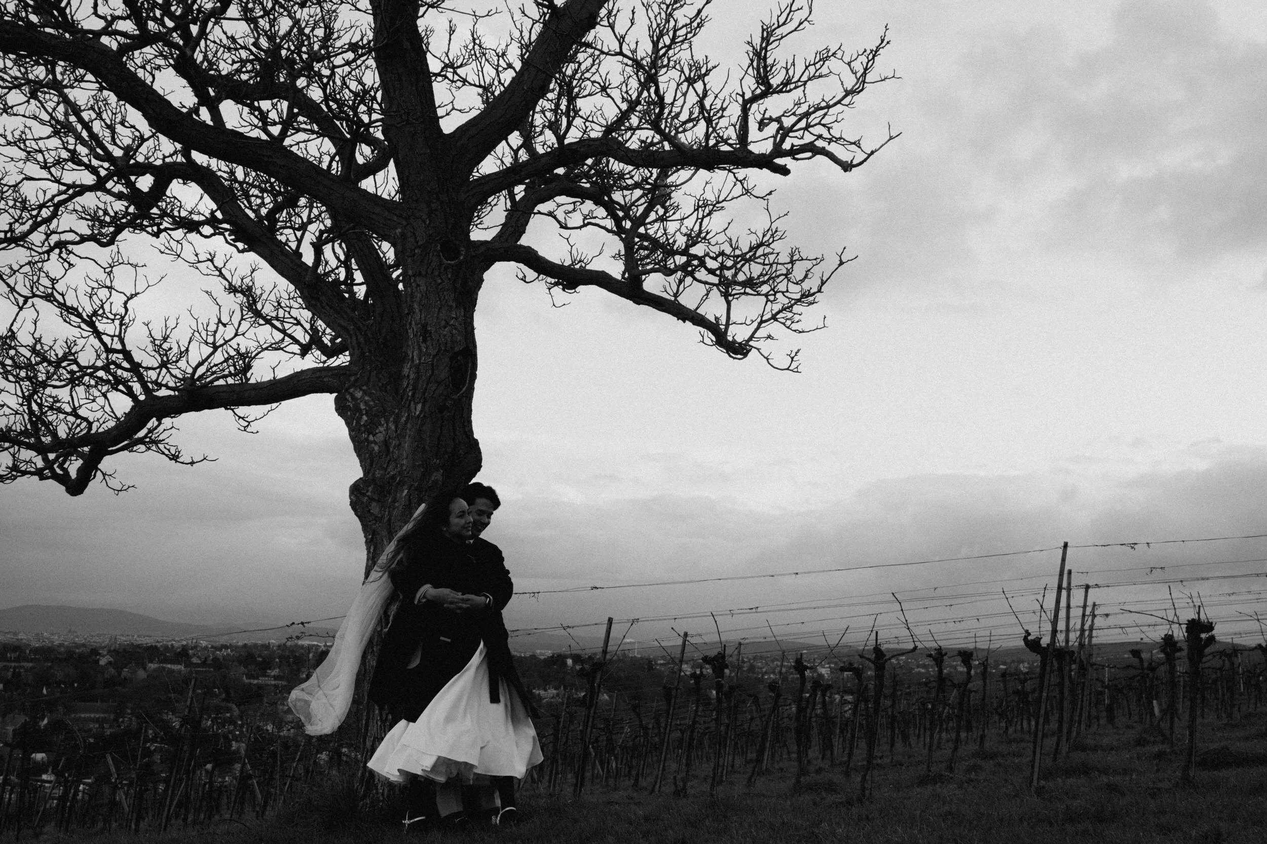 Black and white romantic photo of a couple under a tree, fine art elopement photography