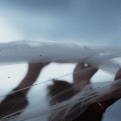 Wedding photographer in Vienna - Fedor Vasilev Photographer in Vienna