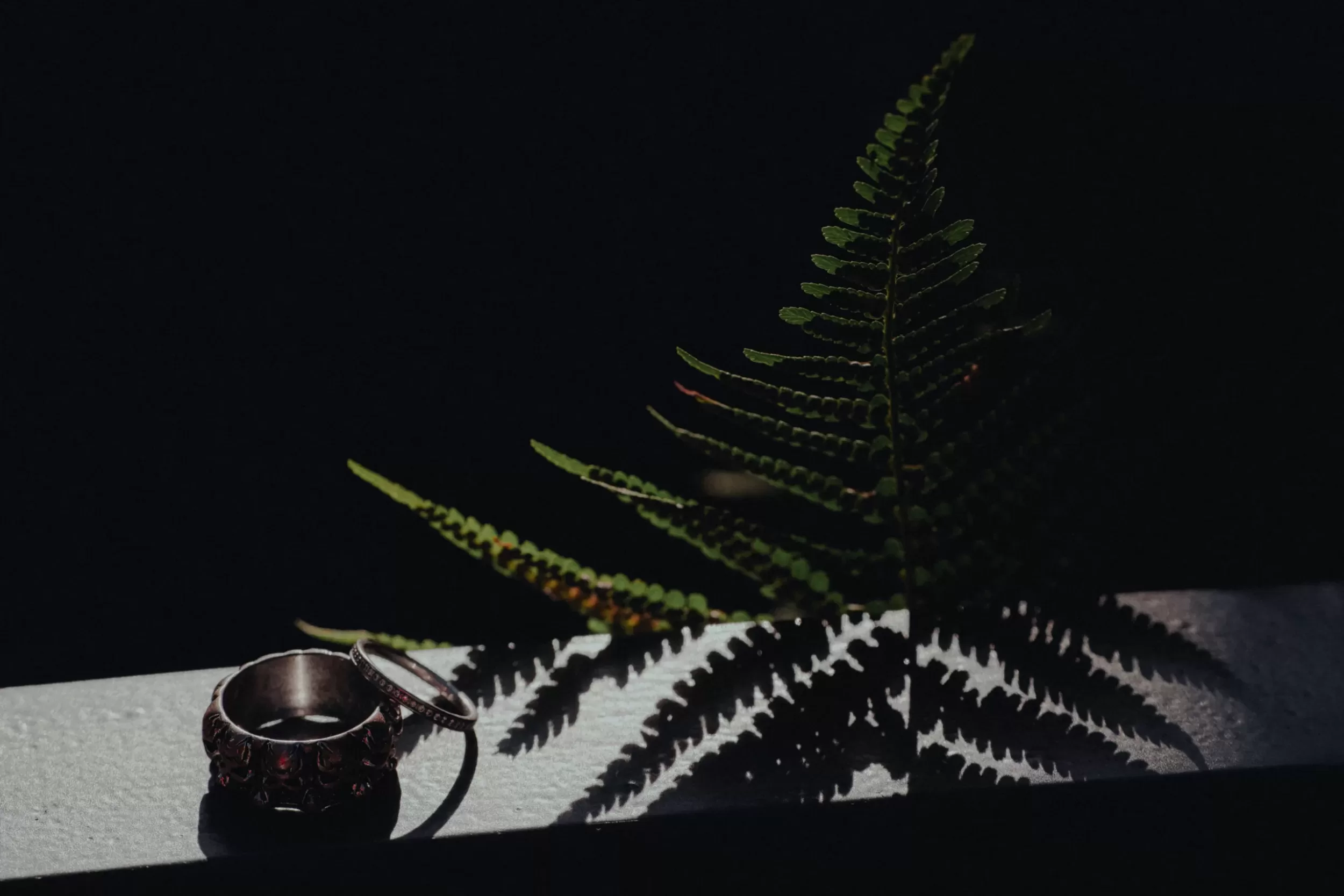 Wedding rings in a dramatic setting