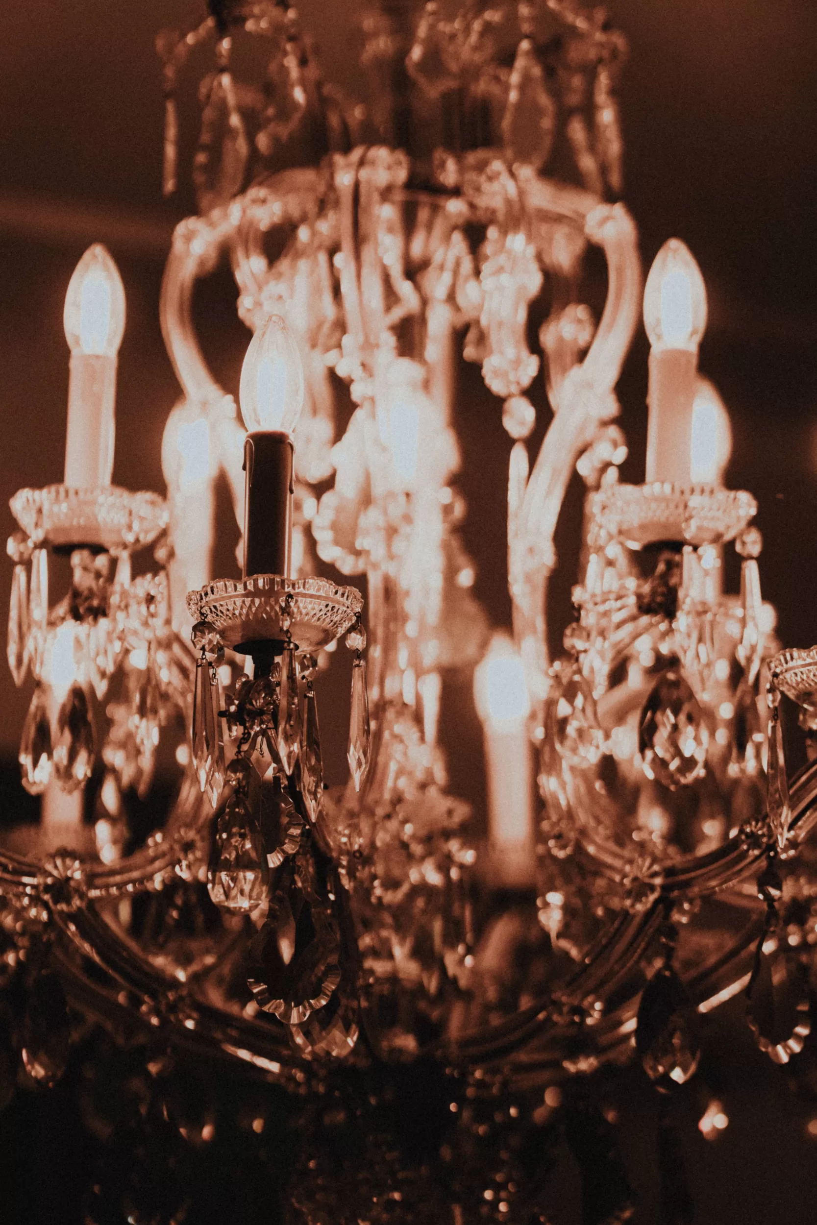 Wedding photoshoot - Fedor Vasilev Photographer in Vienna