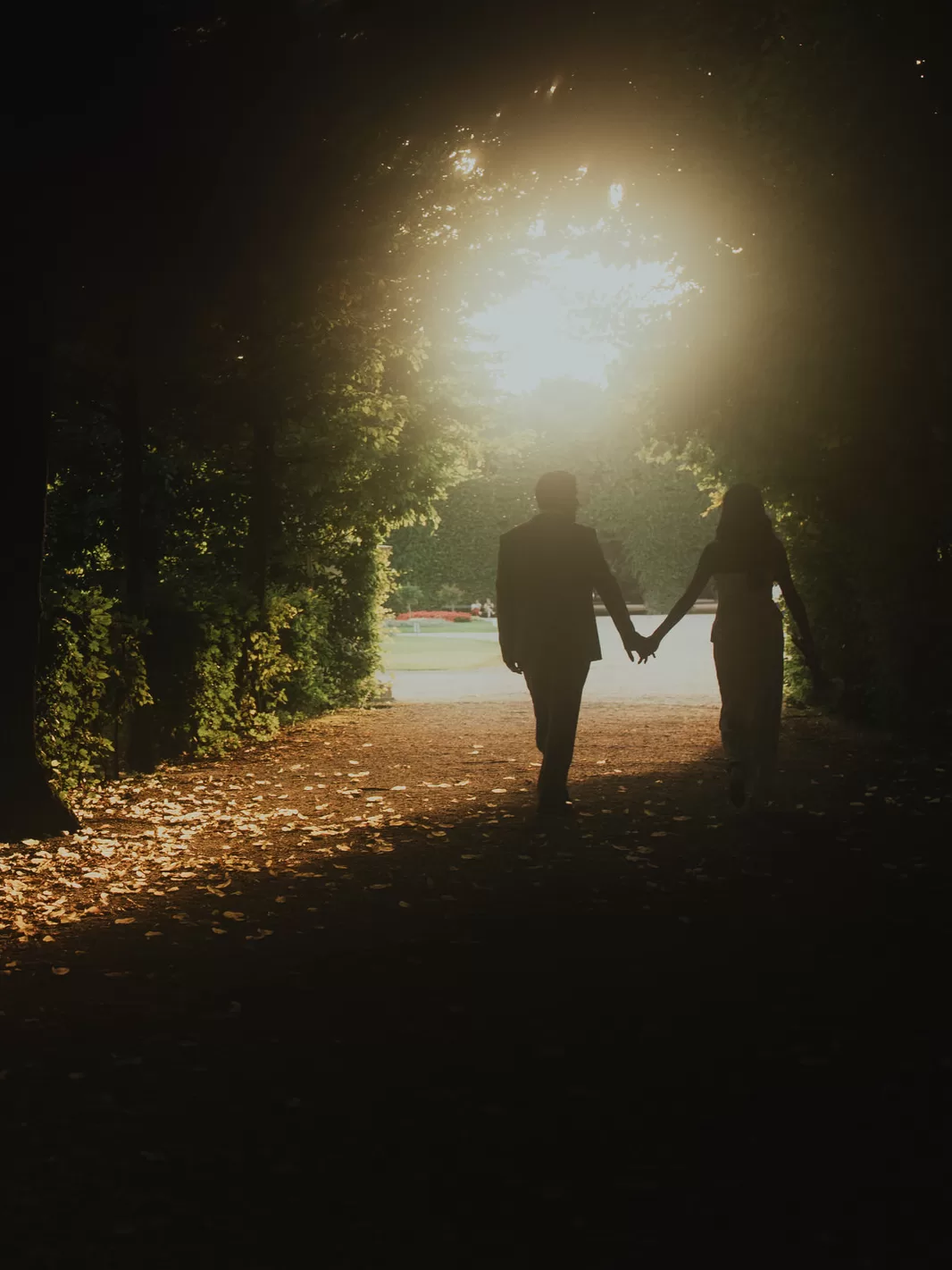 A silhouette of a  couple holding hands,  walking down an alley of Schoenbrunn with sun shining through