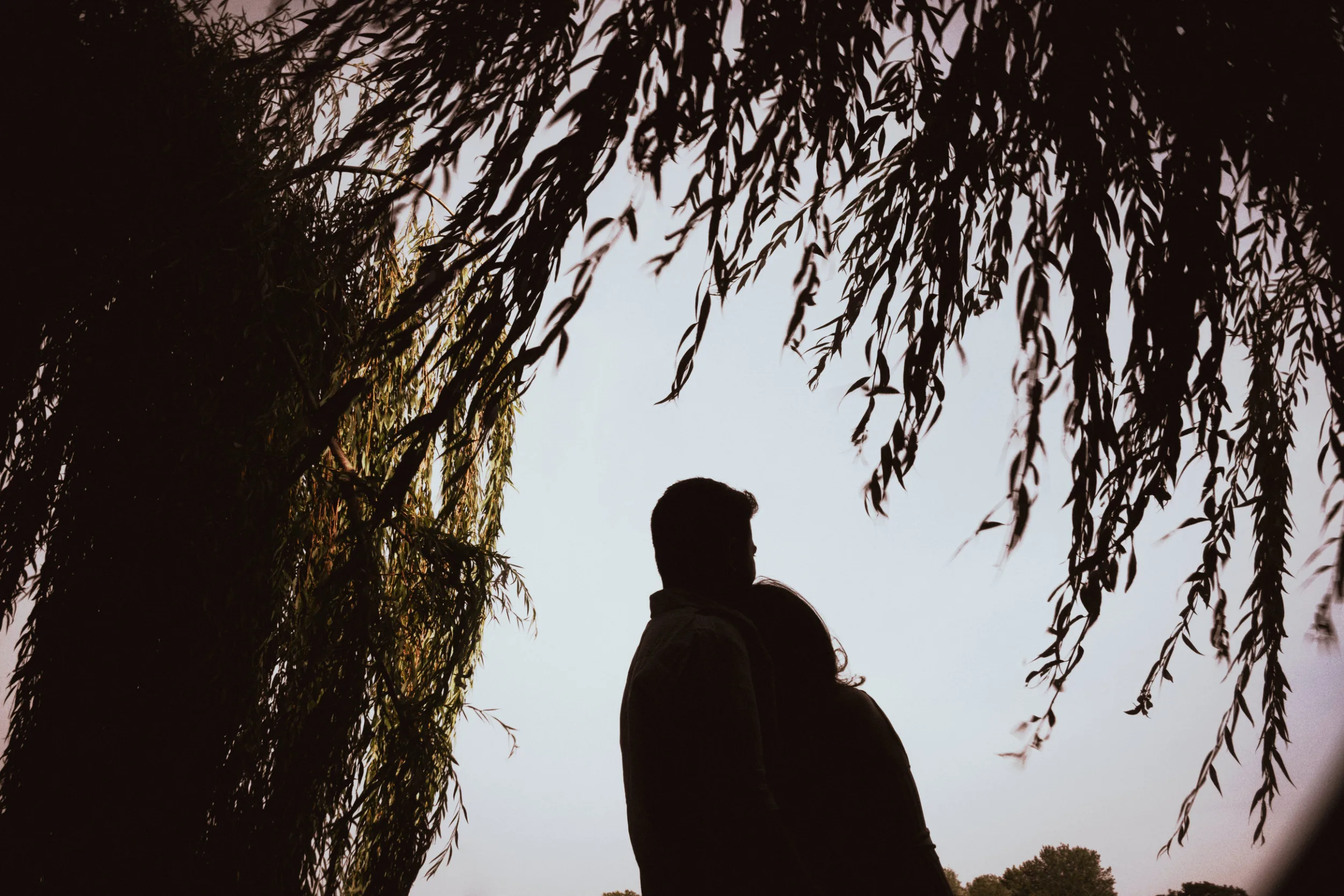 A silhouette of a couple hugging under a tree in treptower park in Berlin