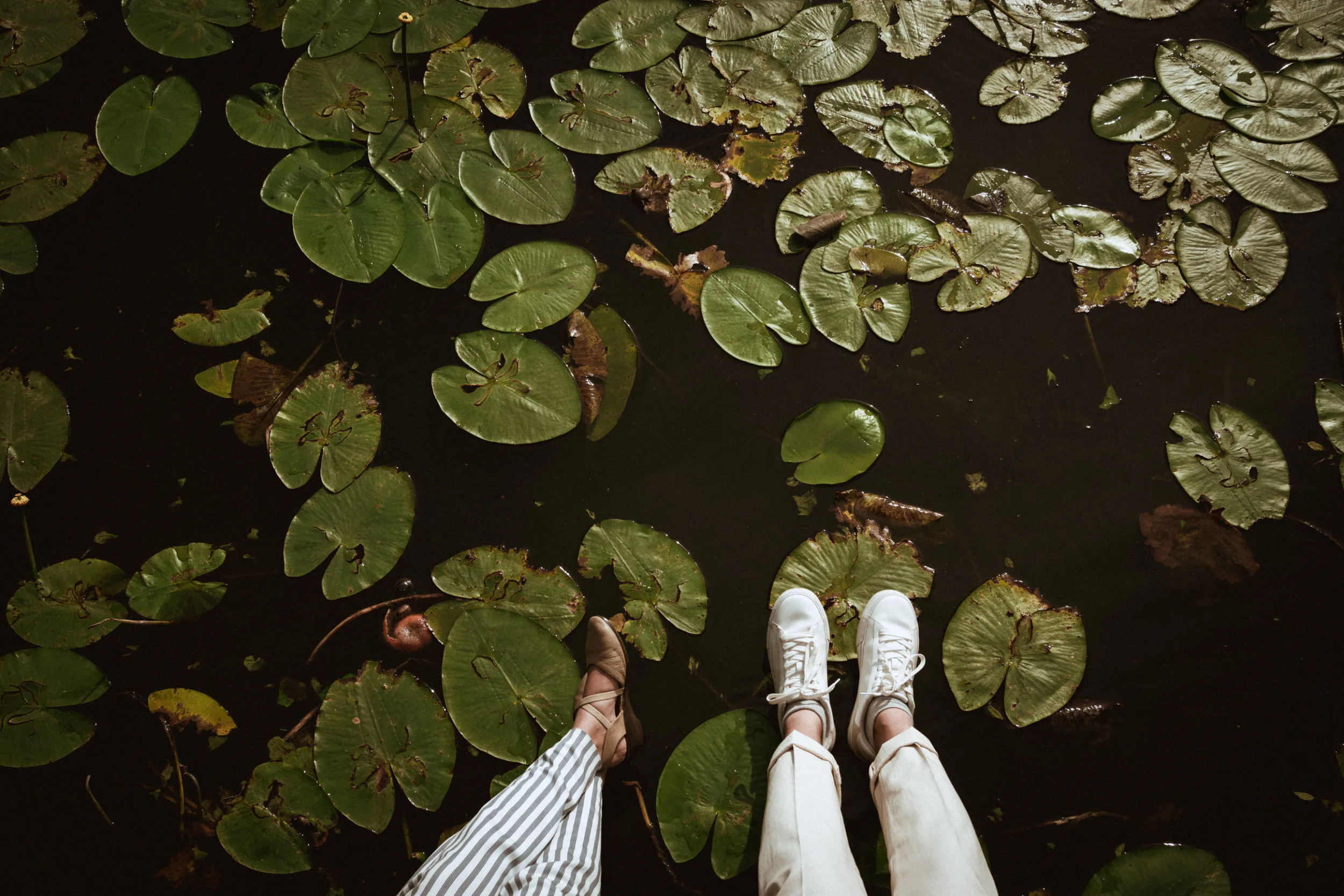 feet in front of lilypods on spree in Berlin